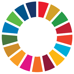 UN-SDGS Logo Transparent